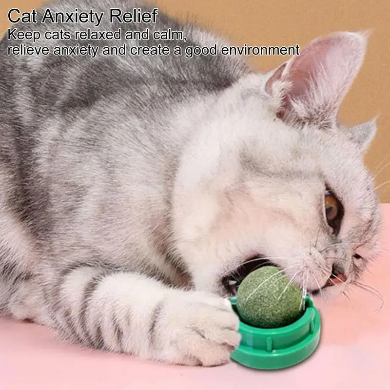 Catnip ball Toys Wall self - Free Shipping